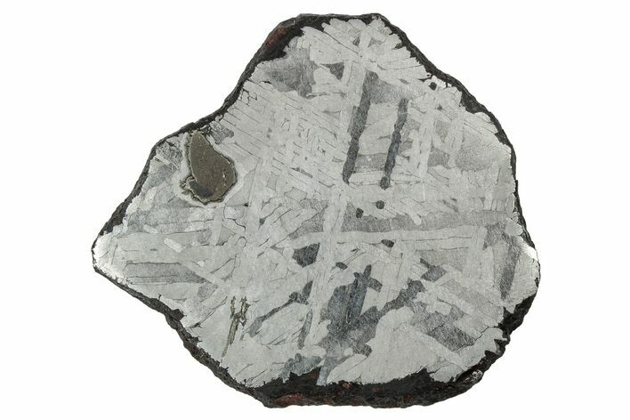 Etched Toluca Iron Meteorite ( g) Slice - Mexico #346490